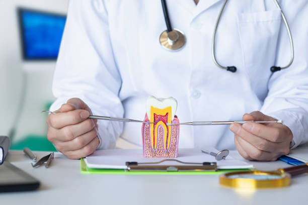 Best Emergency Tooth Extraction in Johnston City, IL